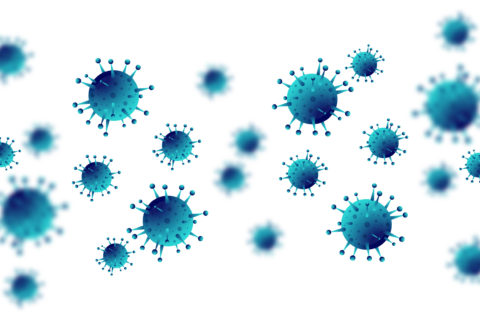 Coronavirus – Information